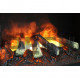 Электрический очаг Royal Flame Design B650RF 3D