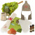 Буденный 