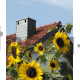 Двухходовой комплект керамического дымохода Schiedel UNI (⌀140 и 180 мм / 4 м) с вентиляционным каналом
