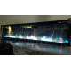 Электрический камин Dimplex Ignite XLF74