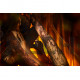 Электрокамин British Fires New Forest 870 Deluxe Real logs