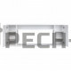 Каминокомплект RealFlame Морис (Bergen) 36 с очагом Premier 36